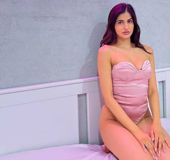 મુંબઈ: મોડલ અને અભિનેત્રી સાક્ષી મલિક પોતાની બોલ્ડ અને હોટ તસવીરોના કારણે ચર્ચામાં છે. અભિનેત્રી પોતાના ઈન્સ્ટાગ્રામ પર હોટ તસવીરો શેર કરતી રહે છે. ફિલ્મ 'સોનૂ કી ટીટૂ કી સ્વીટી' ના સોંગ બમ ડિગી ડિગીમાં જોવા મળી હતી.