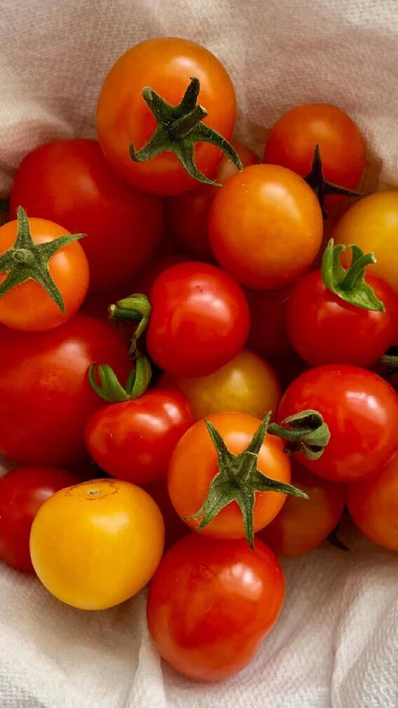Kitchen Hacks: Some easy tips to make tomatoes last longer...