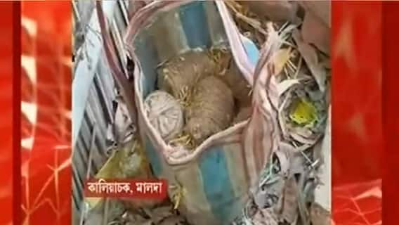 Malda:বিস্ফোরণে ৪ শিশু জখমের ঘটনার পর ফের বোমা উদ্ধার মালদায়, তদন্তে পুলিশ। Bangla News