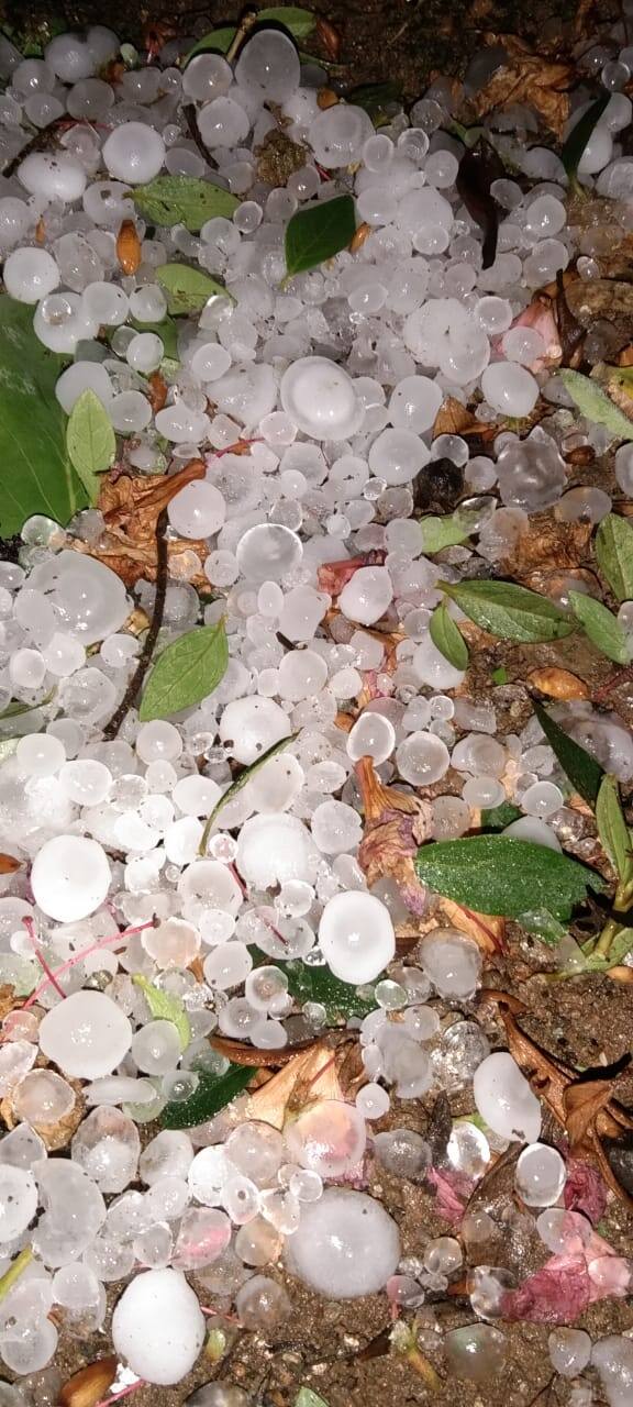 Weather Kalimpong Hailstroam in several parts road to siliguri blocked after tree uprooted heatwave in south bengal Kalimpong Hailstroam : পুড়ছে যখন দক্ষিণ, উত্তরের কালিম্পংয়ে তখন শিলাবৃষ্টি, গাছ পড়ে বন্ধ রাস্তা