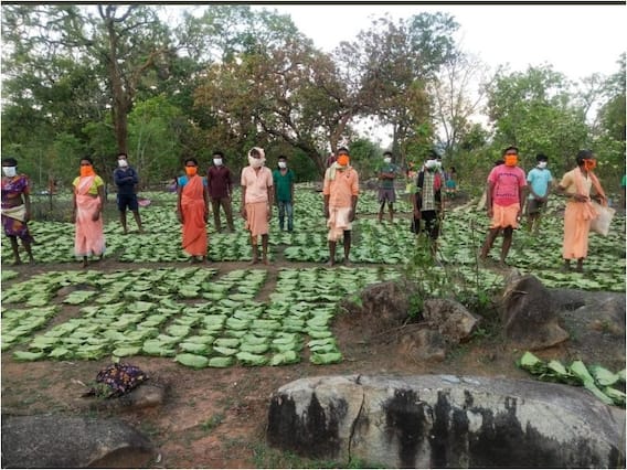 Chhattisgarh News: प्राथमिक लघु वनोपज सहकारी समिति प्रबंधकों का वेतन करीब दोगुना हुआ, जानें अब कितनी सैलरी मिलेगी? Chhattisgarh News: प्राथमिक लघु वनोपज सहकारी समिति प्रबंधकों का वेतन करीब दोगुना हुआ, जानें अब कितनी सैलरी मिलेगी?