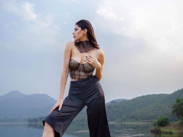 श्रुतीच्या फोटोंवर कमेंट्स आणि लाईक्सही मोठ्या प्रमाणात येत असतात.