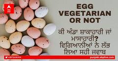 Eggs Vegetarian Or Not: ਕੀ ਅੰਡਾ ਸ਼ਾਕਾਹਾਰੀ ਜਾਂ ਮਾਸਾਹਾਰੀ? ਵਿਗਿਆਨੀਆਂ ਨੇ ਲੱਭ ਲਿਆ ਸਹੀ ਜਵਾਬ