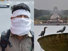 Delhi Weather Update: दिल्ली में गर्मी का कहर जारी, पारा 40 डिग्री सेल्सियस के पार पहुंचा, देखें तस्वीरें