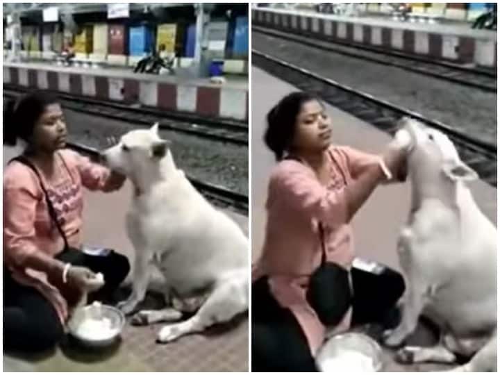 Woman Feeds Stray Dog At Railway Station In West Bengal Watch: रेलवे स्टेशन पर आवारा कुत्ते को खाना खिलाती नजर आई महिला, दिल जीत लेगा वीडियो