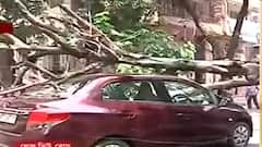 Lake View Road: লেক ভিউ রোডে গাড়ির ওপর ভেঙে পড়ল গাছ! ব্যাহত যান চলাচল।Bangla News