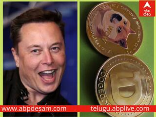 Dogecoin: మస్కా.. మజాకా! అక్కడ ట్విటర్‌ కొంటే ఇక్కడ డోజీకి ఊపొచ్చింది, 35% పెరిగింది!