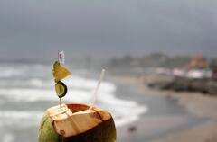 Summer Super Drink: তীব্র তাপপ্রবাহে সুস্থ থাকতে অবশ্যই পান করুন এই সুপার ড্রিঙ্ক