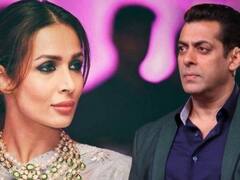Malaika Arora Angry: जब इस बात से भड़क गई थीं मलाइका अरोड़ा, कहा था- मुझे सलमान खान ने नहीं बनाया, मैं सेल्फ मेड हूं'