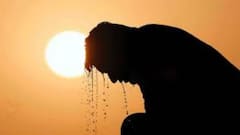 Heatwave: তীব্র গরম থেকে রক্ষা পেতে কী করবেন? প্রতিরোধমূলক নির্দেশিকা জারি নবান্নের।Bangla News