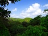 NABARD Sanctions Rs 457 Cr Loan To Restore 33,290 Ha Of Degraded Forest Land In TN