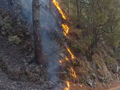 Uttarakhand Forest Fire: उत्तराखंड के जंगलों में लगी आगे ने मचाई भारी तबाही, जानें- अबतक कितना नुकसान हुआ?