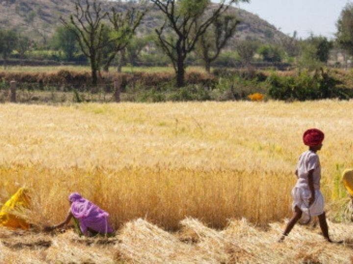 India Loses 101 Billion Hours Of Labour Due To Extreme Heat; March Hottest In 122 Years India Loses 101 Billion Hours Of Labour Due To Extreme Heat; March Hottest In 122 Years