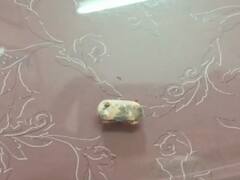 विद्यार्थ्यांना दिलेल्या जंतनाशक गोळ्या बुरशीयुक्त; विद्यार्थ्यांच्या जीवाशी खेळण्याचा प्रकार असल्याचा आरोप