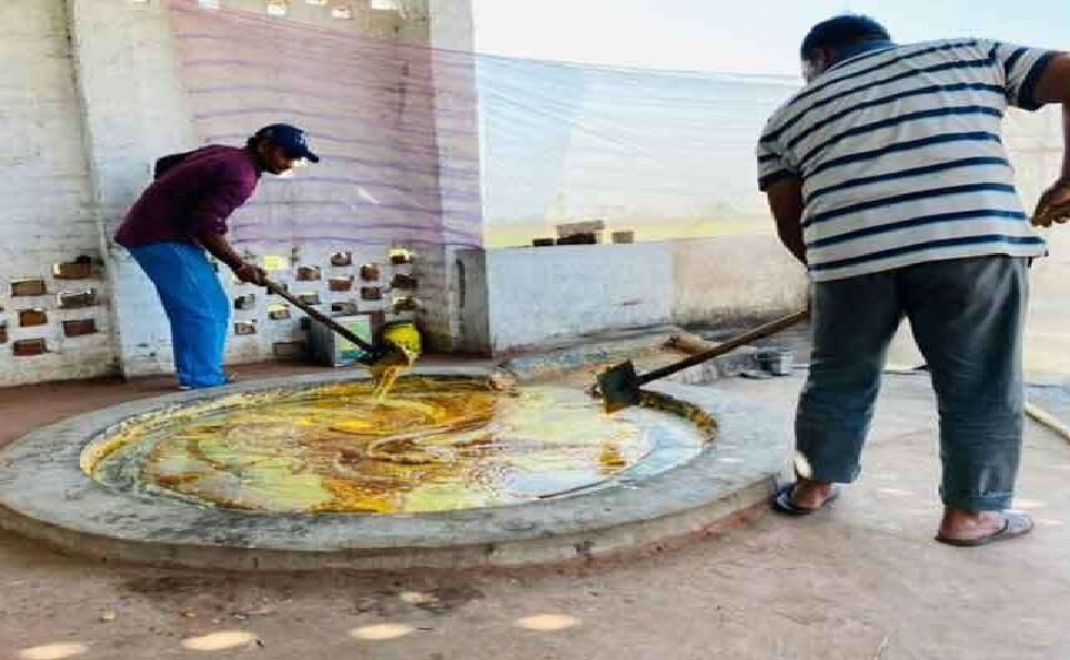 Organic Farming: અમેરિકામાં 5 વર્ષ ચલાવ્યો ટ્રક, ભારત પરત ફરીને શરૂ કરી પ્રાકૃતિક ખેતી, કરે છે બંપર કમાણી