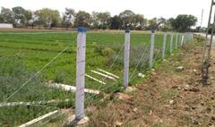 Gujarat Agriculture Scheme: ગુજરાતમાં ખેડૂતોના પાકને જંગલી જાનવરથી બચાવવા સરકાર ચલાવે છે યોજના, જાણો કેટલી આપે છે સહાય