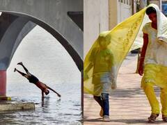 In Pics: तपती, जलती गर्मी ने किया बेहाल, भीषण गर्मी से इंसान ही नहीं जानवर भी परेशान, देखें तस्वीरें