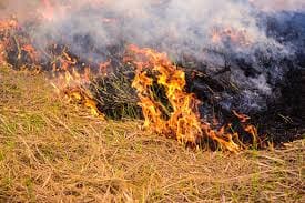 ਅੱਧੀ ਦਰਜਨ ਤੋਂ ਵੱਧ ਪਿੰਡਾਂ 'ਚ ਲੱਗੀ ਭਿਆਨਕ ਅੱਗ, ਪਸ਼ੂਆਂ ਤੇ ਤੂੜੀ ਦਾ ਹੋਇਆ ਨੁਕਸਾਨ