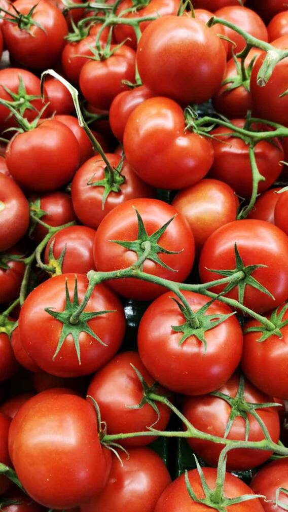 Kitchen Hacks: Some easy tips to make tomatoes last longer...