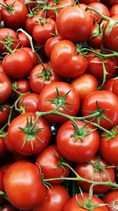 Delhi News: नींबू के बाद अब टमाटर की कीमतों में जबरदस्त उछाल, 80 रुपये प्रति किलो पहुंचा रेट