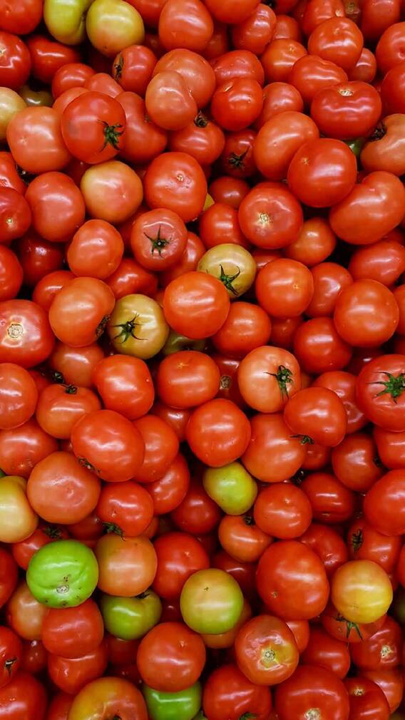 Kitchen Hacks: Some easy tips to make tomatoes last longer...
