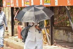 In Pics: तपती, जलती गर्मी ने किया बेहाल, भीषण गर्मी से इंसान ही नहीं जानवर भी परेशान, देखें तस्वीरें