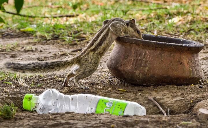 मौसम विभाग ने पहले कहा था कि उत्तर पश्चिम भारत और मध्य भारत के आसपास के हिस्सों में अप्रैल में अधिक तेज और लगातार लू की स्थिति देखे जाने की संभावना है.