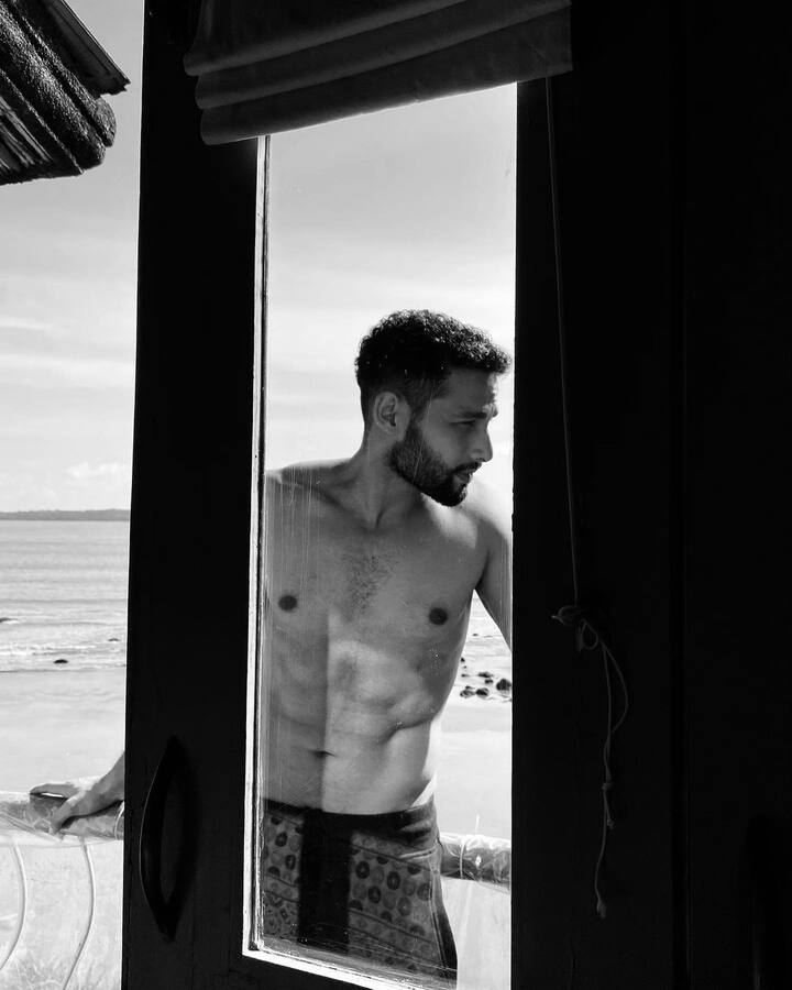 बॉलिवूडमधील प्रसिद्ध अभिनेता सिद्धांत चतुर्वेदी (siddhant chaturvedi) त्याच्या अभिनयानं नेहमीच प्रेक्षकांची मनं जिंकतो.(photo:siddhantchaturvedi/ig)