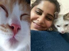 Sai Tamhankar : अभिनेत्री सई ताम्हणकरच्या 'बकू'ची चर्चा; पाहा फोटो!