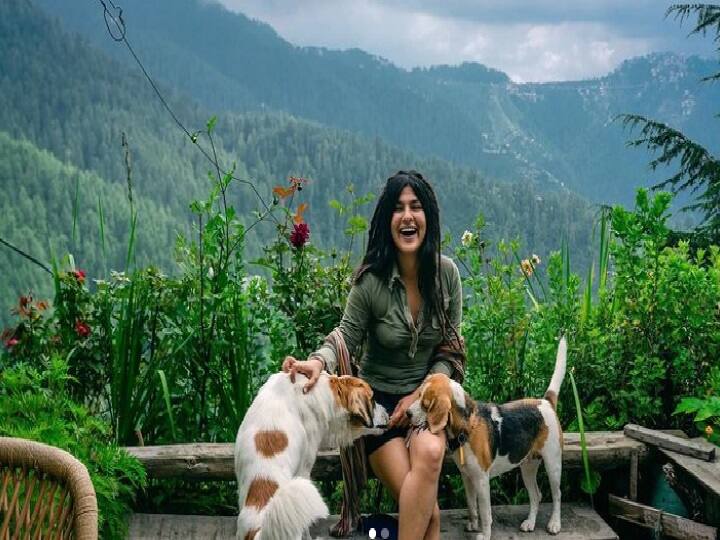 TMKOC: 'तारक मेहता' की 'सोनू' निधि भानुशाली की तस्वीरों के बैकग्राउंड में दिखा कुछ ऐसा, सोशल मीडिया पर मच गया बवाल! TMKOC Nidhi Bhanushali aka Sonu Photo Going Viral For Its Background TMKOC: 'तारक मेहता' की 'सोनू' निधि भानुशाली की तस्वीरों के बैकग्राउंड में दिखा कुछ ऐसा, सोशल मीडिया पर मच गया बवाल!