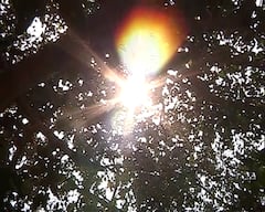 Bankura: পারদ ঘোরাফেরা করছে ৪২-৪৩ ডিগ্রির ঘরে, বাঁকুড়ায় সকাল ৯টাতেই ফাঁকা রাস্তাঘাট। Bangla News