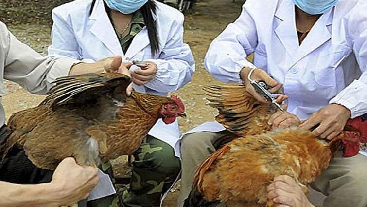 China reports first human case of H3N8 bird flu ਚੀਨ ਨੇ ਫਿਰ ਵਧਾਈ ਲੋਕਾਂ ਦੀ ਚਿੰਤਾ! H3N8 ਬਰਡ ਫਲੂ ਦਾ ਪਹਿਲਾ ਮਨੁੱਖੀ ਕੇਸ ਆਇਆ ਸਾਹਮਣੇ