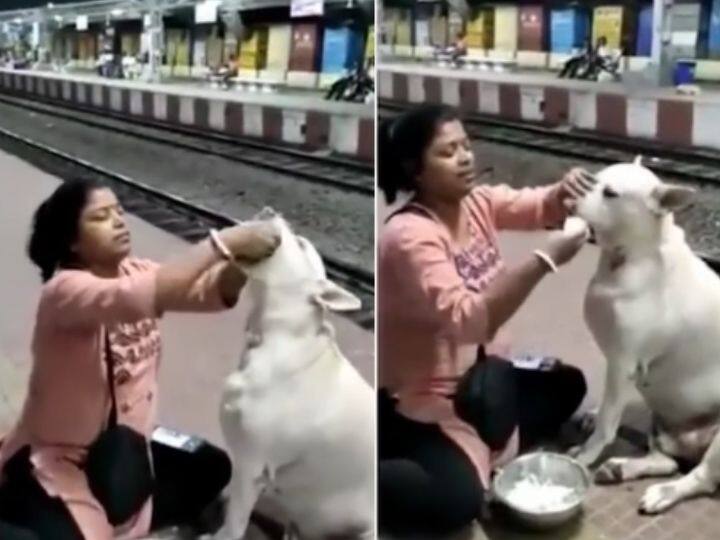 woman feeds dog at railway station in west bengal Trending : रेल्वे स्टेशनवर भटक्या कुत्र्याला भरवला मायेचा घास, महिलेचा व्हिडीओ व्हायरल; नेटकऱ्यांकडून कौतुकाचा वर्षाव