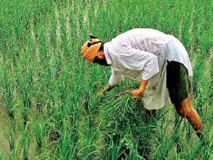 Uttar Pradesh Water Resources Department providing water to farmers through canals for irrigation ANN उत्तर प्रदेश में 37 लाख किसानों को सरकार के एक फैसले से हुआ लाभ, जानिए- कैसे मुश्किल हुई आसान