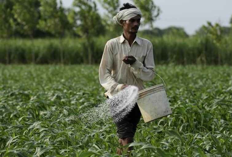 Cabinet Decisions: Cabinet has approved Nutrient Based Subsidy rates for Phosphatic and Potassic fertilizers for Kharif Season Cabinet Decisions: ખેડૂતો માટે મોટા સમાચાર, મોદી સરકારે ખાતર સબસિડી વધારવાની આપી મંજૂરી