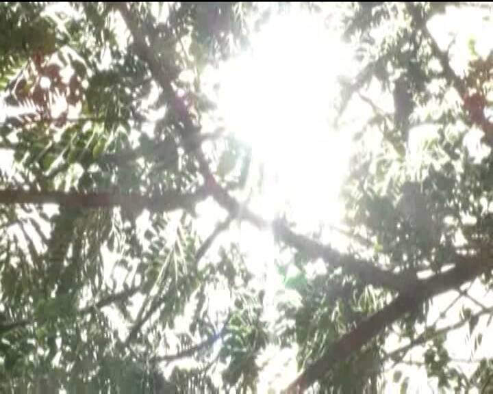 উত্তরবঙ্গের বেশ কয়েকটি জেলায় আজও তাপপ্রবাহের পরিস্থিতি। দার্জিলিং-সহ কয়েকটি জেলায় বৃষ্টি হবে।