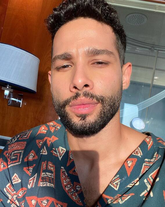 New picture shared by Siddhant Chaturvedi; Discussion on social media about the relationship between new and theory!
