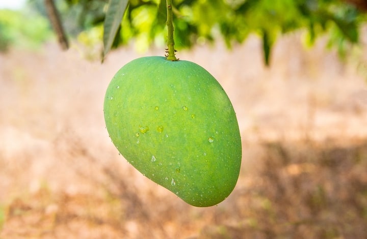 আমের আচার তৈরি করার জন্য প্রথমে কাঁচা আমগুলি একটি পাত্রে ছোট ছোট করে কেটে নিতে হবে। এবার ভালো করে ধুয়ে জল ঝরিয়ে তাতে এক চামচ নুন মিশিয়ে আলাদা করে রাখুন। অন্তত ঘণ্টা তিনেক রেখে দিতে হবে এভাবেই।