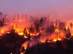 Uttarakhand Forest Fire:गर्मी के चलते धधक रहे पहाड़, उत्तराखंड, हिमाचल और जम्मू कश्मीर के जंगलों में लगी आग