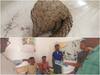 Bastar Crime News: 10 लाख में कर रहे थे संरक्षित वन्यजीव का सौदा, फॉरेस्ट टीम ने 3 तस्करों को पकड़ा, 13 आरोपी हुए फरार