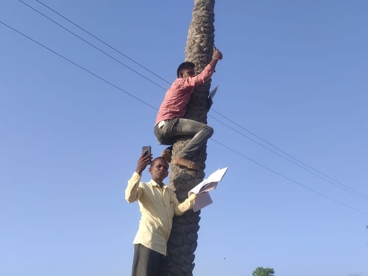 Banswara News: राजस्थान के बांसवाड़ा में मोबाइल नेटवर्क के लिए खजूर के पेड़ पर चढ़े कर्मचारी, फिर लोगों ने क्या किया? Banswara MGNREGA Workers facing issue in online attendance due to poor network ANN Banswara News: राजस्थान के बांसवाड़ा में मोबाइल नेटवर्क के लिए खजूर के पेड़ पर चढ़े कर्मचारी, फिर लोगों ने क्या किया?