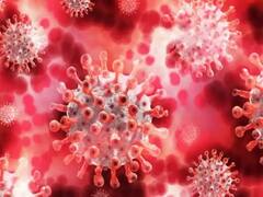 NCR Corona Cases: एनसीआर में बढ़ते कोरोना के मामलों पर ऐसे लगेगी लगाम, जानें- प्रशासन की क्या है खास तैयारी