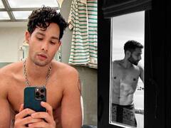 सिद्धांत चतुर्वेदीने शेअर केला नवा फोटो; नव्या आणि सिद्धांत यांच्या नात्याबद्दल सोशल मीडियावर चर्चा!