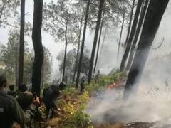 Rudraprayag: आवासीय क्षेत्रों तक पहुंचने लगी जंगलों में लगी आग, काबू पाने में वन विभाग नाकाम, जताई जा रही ये गंभीर चिंता