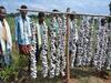 Chhattisgarh News: छत्तीसगढ़ में भूपेश सरकार का बड़ा फैसला, MSP पर होगी रैली कोसा की खरीद, जानिए क्या मिलेगी कीमत?