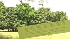 Summer Vacation: 'দক্ষিণের গরমে উত্তরবঙ্গেও স্কুল ছুটি' গরম-তরজায় আলাদা রাজ্যের দাবিতে শান বিজেপি বিধায়কের