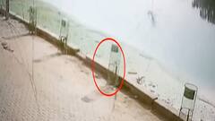 Saharanpur: तालाब में गिरी बच्ची का अभी तक नहीं चल सका पता,गोताखोर टीम खोज में जुटी