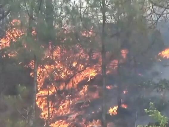 Tehri News: टिहरी में लगातार जल रहे हैं जंगल, आग पर काबू पाने में वन महकमा नाकाम, लाखों का हुआ नुकसान Tehri News: टिहरी में लगातार जल रहे हैं जंगल, आग पर काबू पाने में वन महकमा नाकाम, लाखों का हुआ नुकसान