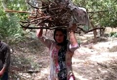 ਮਹਿਜ 6 ਹਜ਼ਾਰ ਤਨਖਾਹ ਮਿਲਣ 'ਤੇ ਮਹਿਲਾ ਅਧਿਆਪਕ ਲੱਕੜਾਂ ਚੁੱਕਣ ਨੂੰ ਹੋਈ ਮਜਬੂਰ | @ABP Sanjha