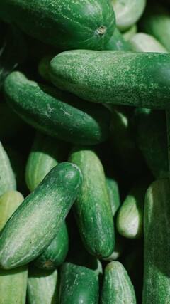 Summer Food : उन्हाळ्यात शरीराला थंड ठेवण्यासाठी 'या' पदार्थांचे सेवन करा, वाचा सविस्तर